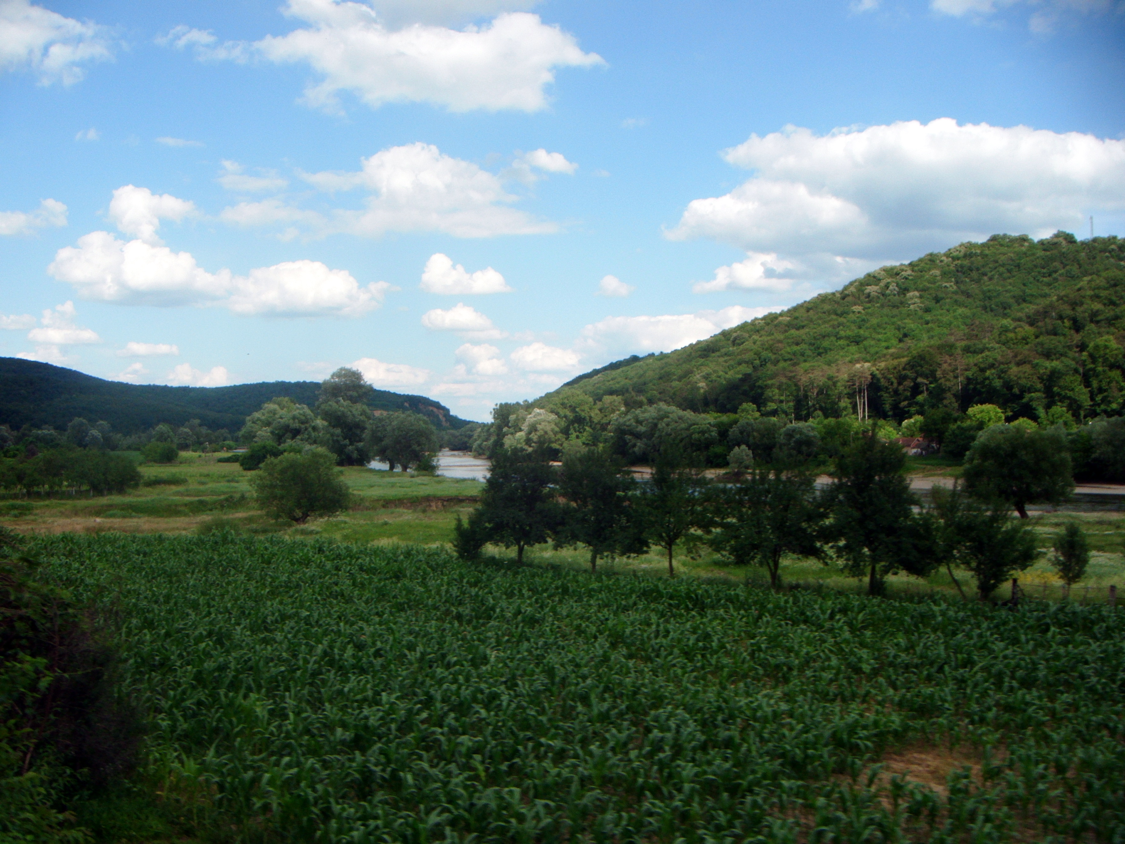 Peisaj din județul Arad, 2012. Localizarea exactă nu este confirmată.